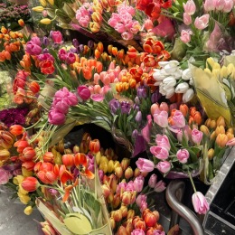 bunches of flowers